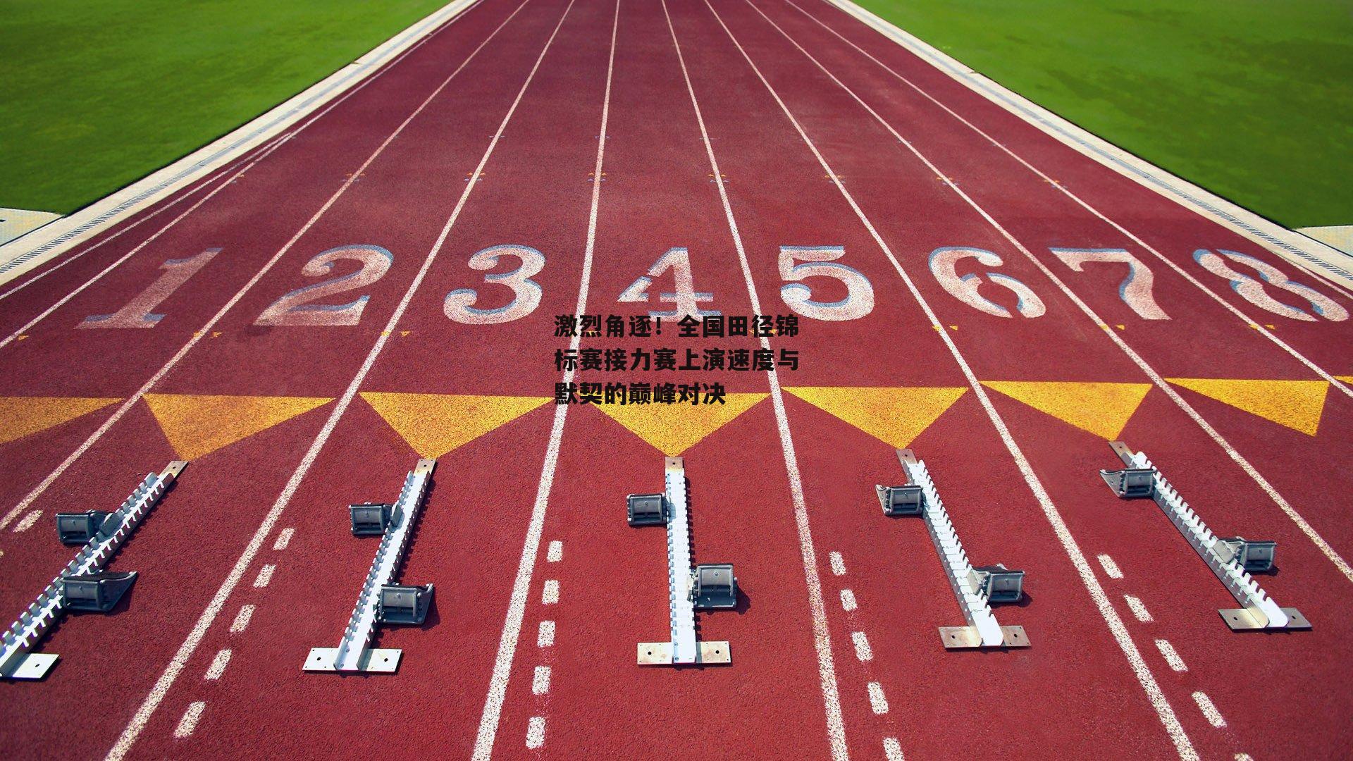 激烈角逐！全国田径锦标赛接力赛上演速度与默契的巅峰对决